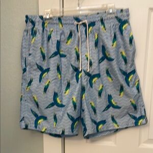 Men's Blue Parrot Print Swim Shorts